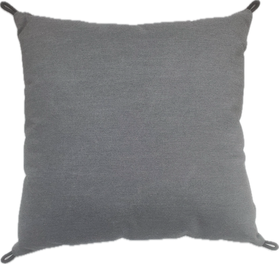 Two Throw Pillows (Square)