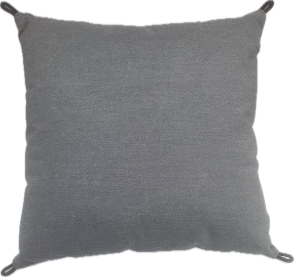 Two Throw Pillows (Square)